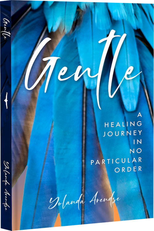 Gentle - book cover