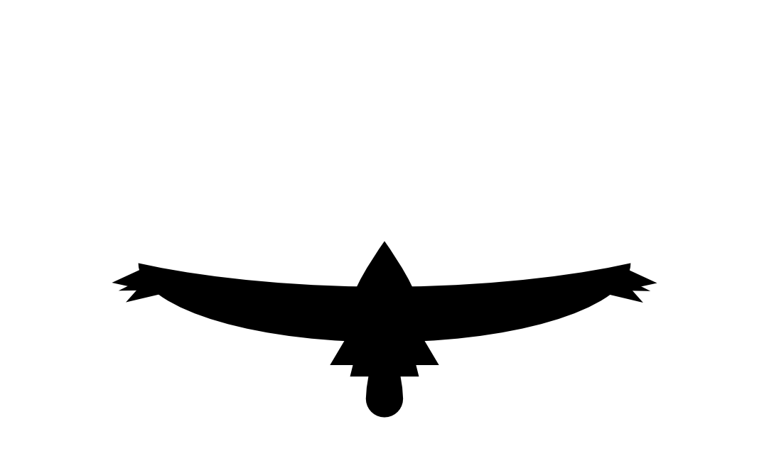 Vault